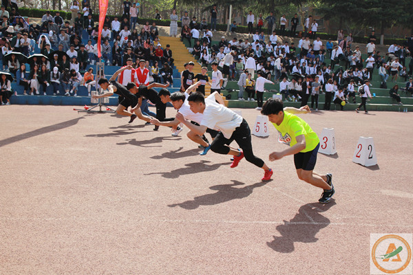 运动2(修改过).jpg 运动2(修改过).jpg
