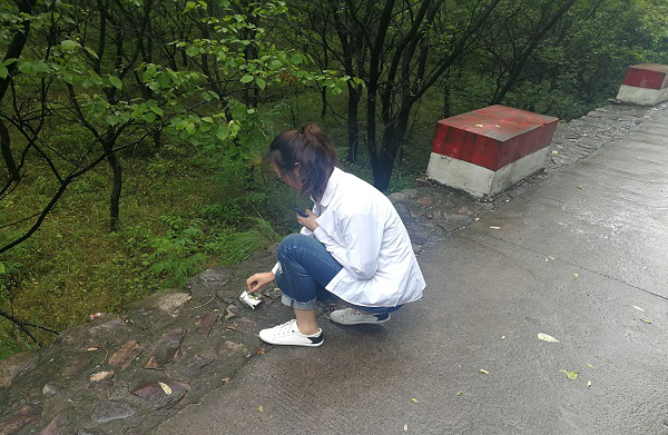 图片2_副本.png 图片2_副本.png