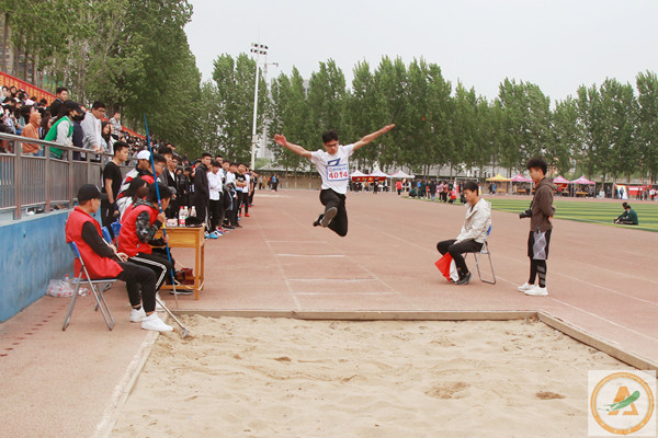 运动3(修改过).jpg 运动3(修改过).jpg